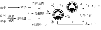 D:\转WORD\崔\2019上\3 2019苏州一模(三)\SZ19-SW8.tif