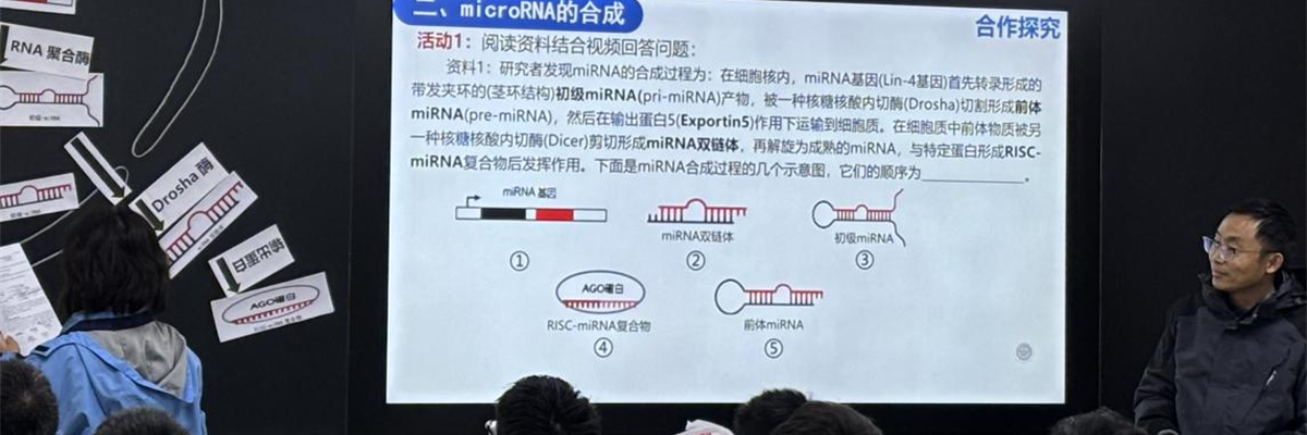 研究科学前沿，提效一轮复习——记高淳、溧水、江宁区高中生物学联片教研活动